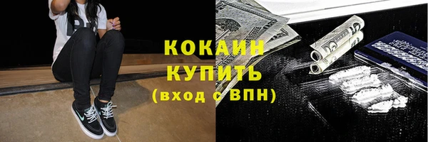 сатива Лагань