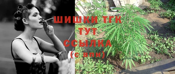 дмт Ладушкин