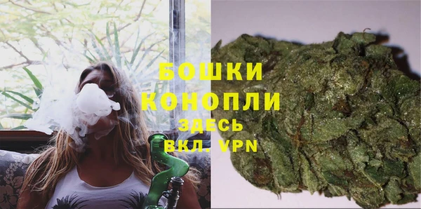 дмт Ладушкин